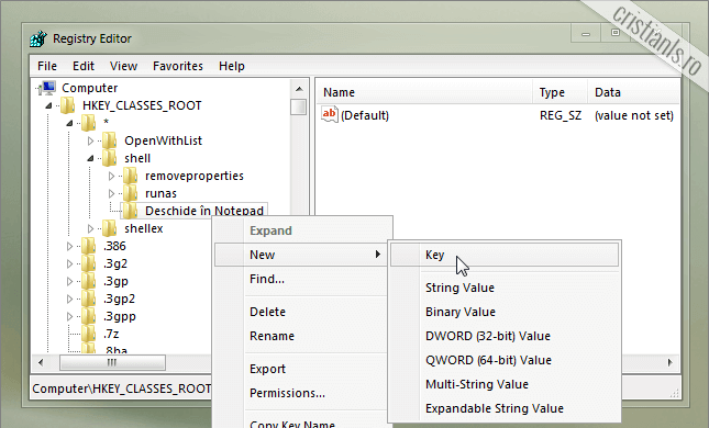 Deschide in Notepad New Key