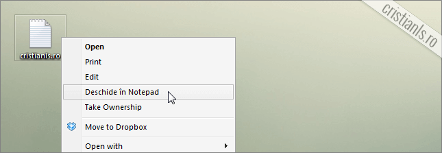 deschide in notepad