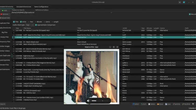 Czkawka - interfață aplicație utilă pentru identificat și șters fișiere duplicate