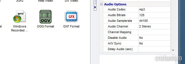 audio options