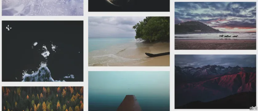 fotografii gratuite - stock