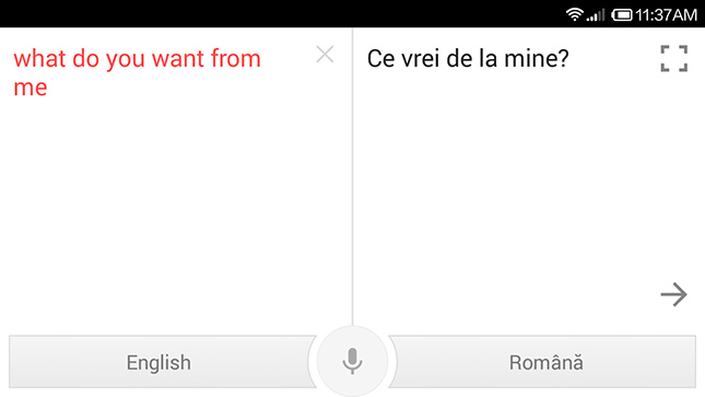 google translate traducere intrebari