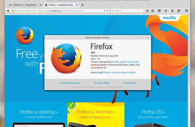 Firefox 40