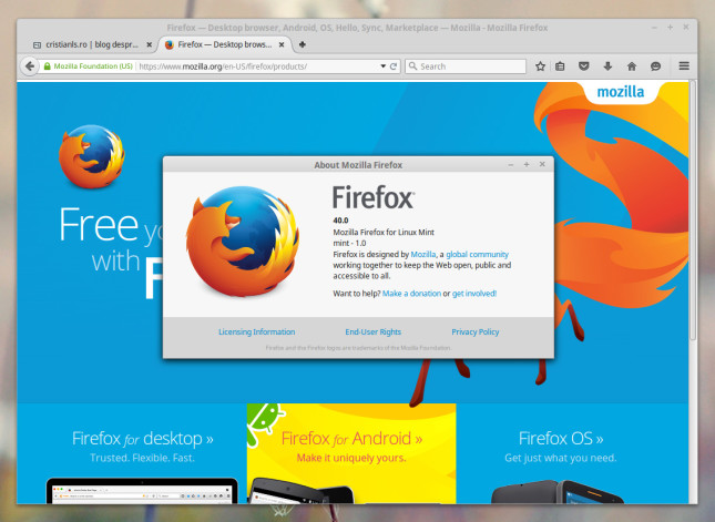 Firefox 40