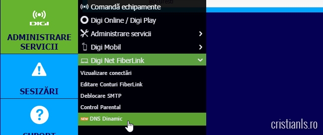 dinamic dns de la rds