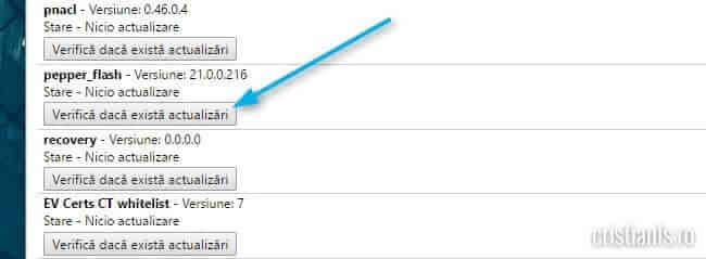 Verifica daca exista actualizari pepper_flash