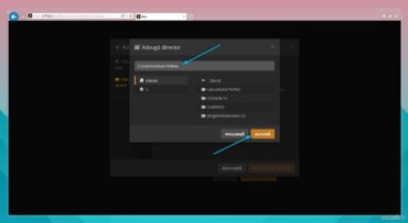 adauga director in plex media server