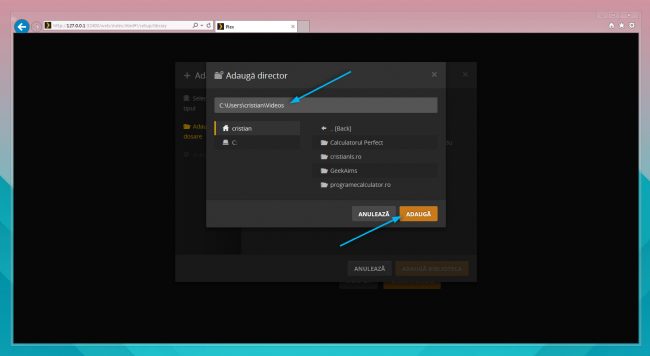 adauga director in plex media server