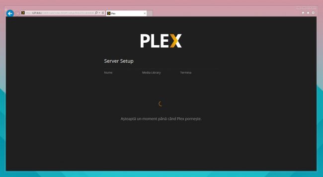 așteaptă până Plex pornește