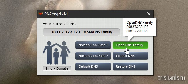 DNS Angel