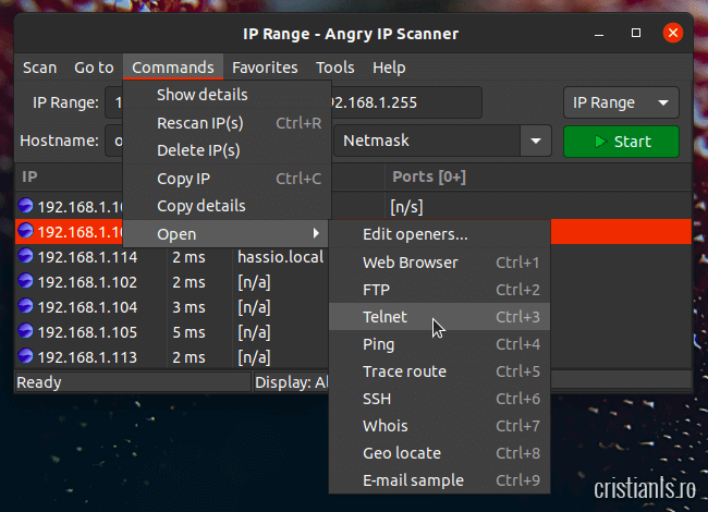 commands Angry IP Scanner