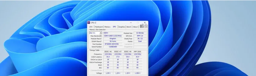 informații detaliate despre modulul de memorie RAM