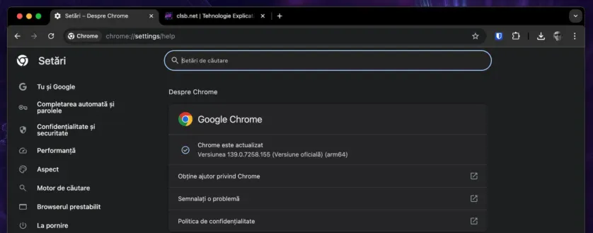 Browserul Google Chrome