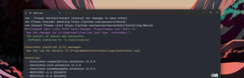 Instalare NEOVIM