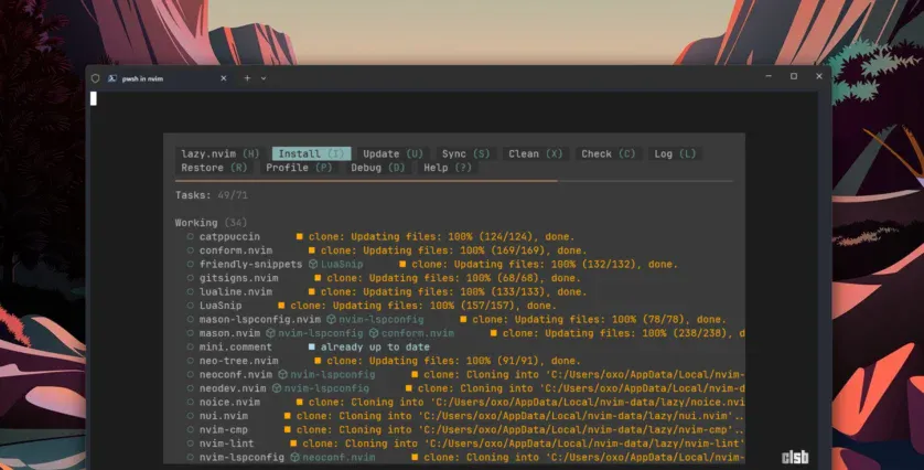 Instalare plugins Neovim