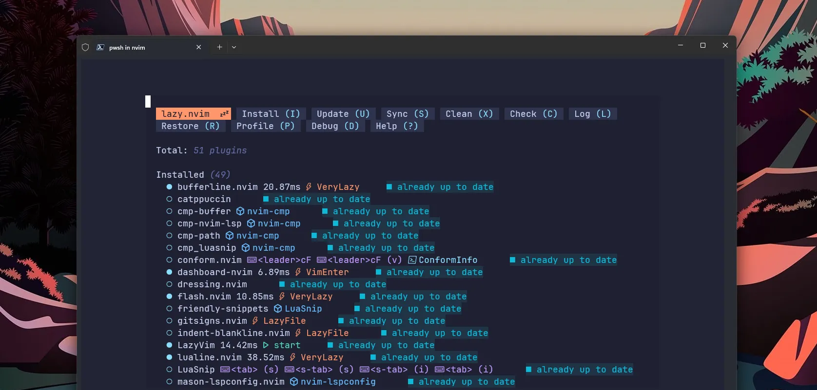 Plugin-uri instalare în Neovim