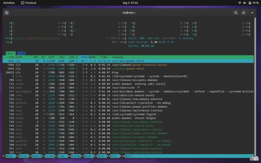 Htop în Terminal pe Debian