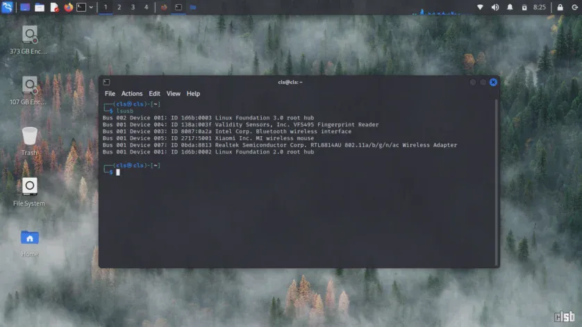 comanda "lsusb" în Kali Linux