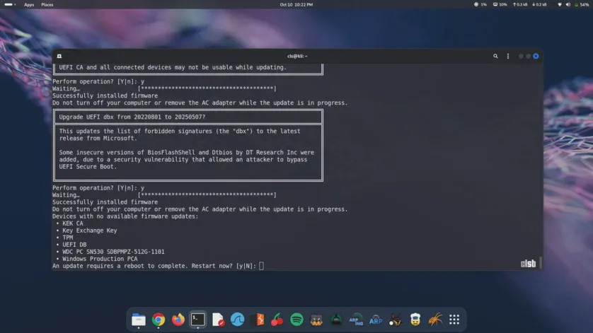 BIOS aparent actualizat din Kali