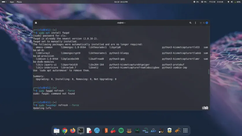 Forțare update BIOS în Kali Linux