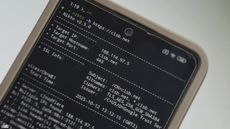 Nikto în Android: tutorial de instalare în Termux