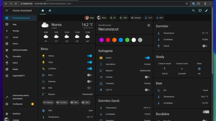 Interfața Home Assistant