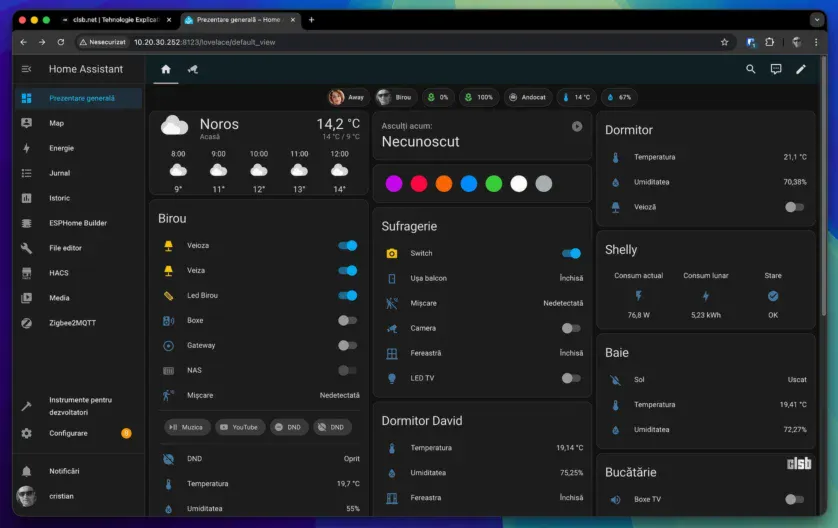 Interfața Home Assistant
