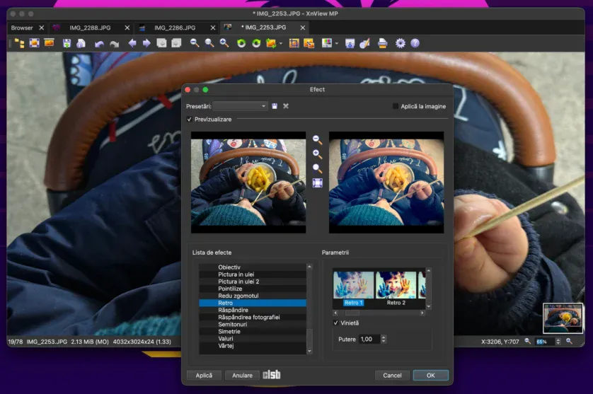 XnView: program pentru aplicare de efecte fotografiilor