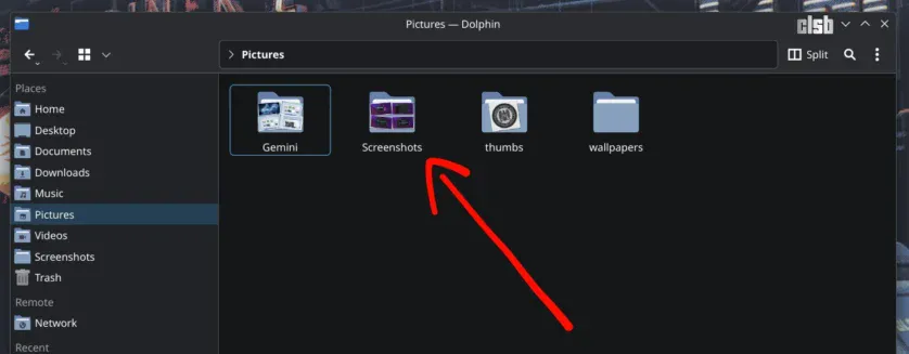Folderul ce va fi partajat și sincronizat cu Syncthing