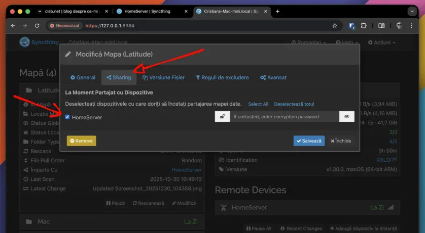Partajarea folderului din instanța locală cu instanța de pe server