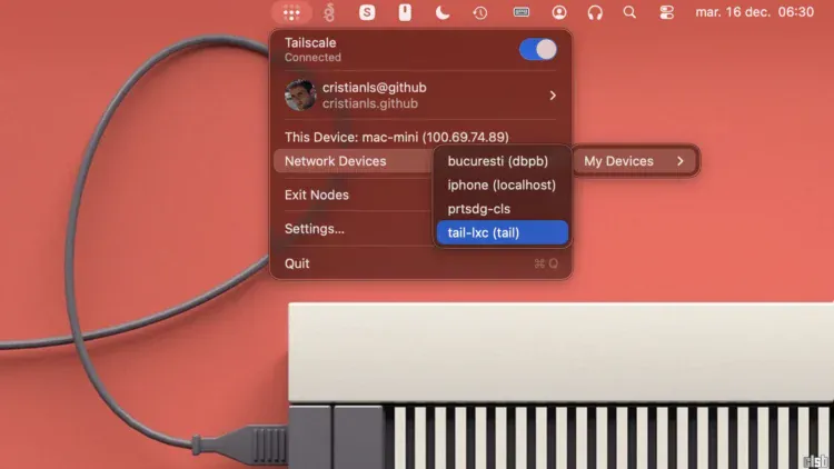 Tailscale: dispozitive din rețea