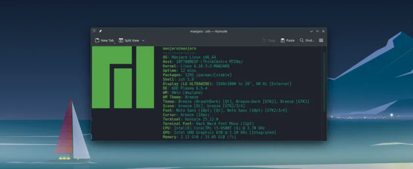 Fastfetch în Manjaro Linux 26