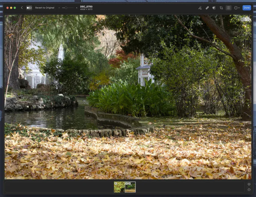 Photomator: alternativă la Adobe Camera RAM - imaginea originală